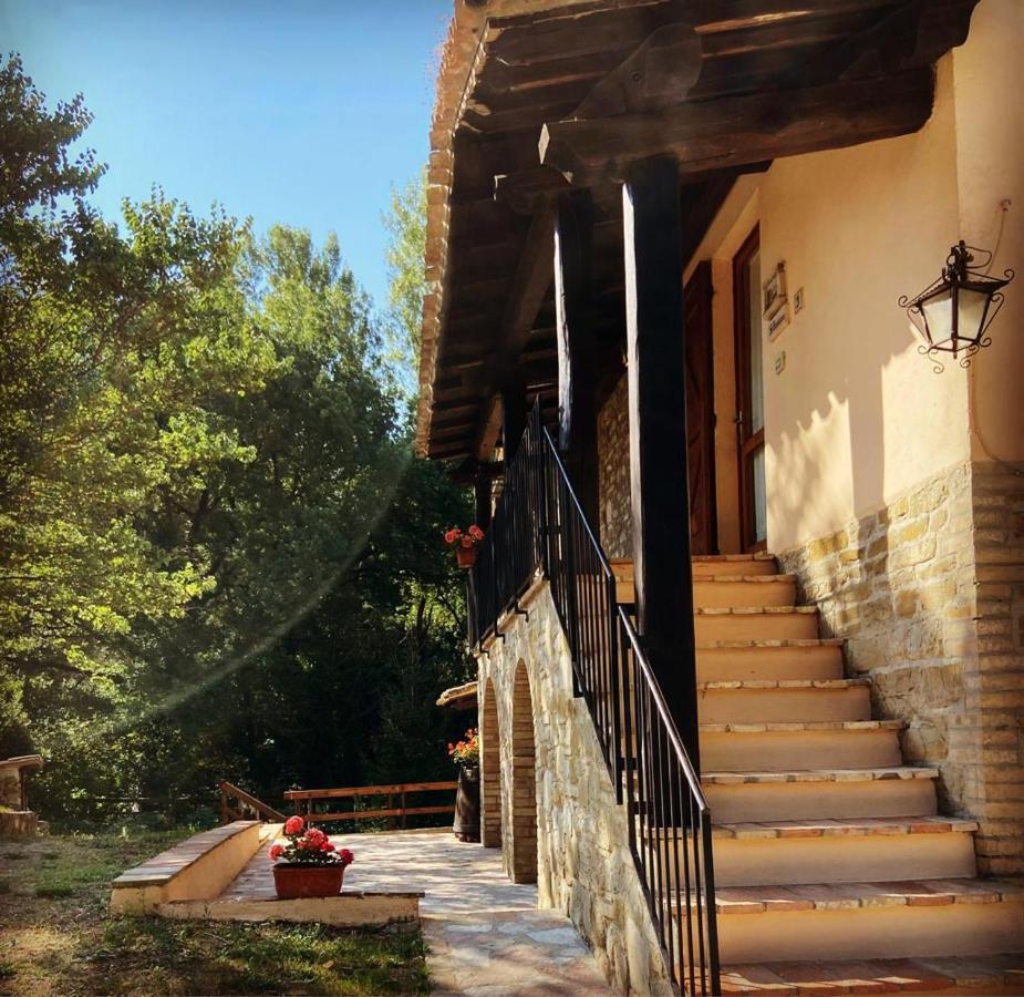 Agriturismo Le Querce Di Assisi Villa Екстериор снимка